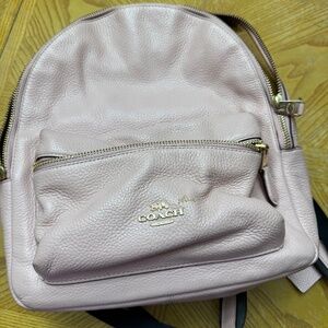 Mini pink backpack purse
